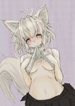  absurdres animal_ears blush breasts highres inubashiri_momiji ishikkoro looking_at_viewer medium_breasts mouth_hold navel no_bra red_eyes shirt_lift short_hair silver_hair sketch skirt smile solo tail touhou underboob wolf_ears wolf_tail 