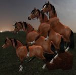  anal equine feral foursome gay male second_life stallions 