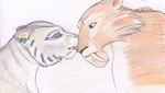  diego duo ear_piercing feline female feral fur ice_age kissing licking louise008 male mammal orange_fur piercing sabertooth shira shira_(ice_age) smilodon tiger tongue white_fur 