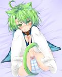  absurdres ahoge animal_ears blush bow bow_panties cat_ears cat_tail collar colorized dodome-iro_mayonnaise feet green_eyes green_hair highres knees_on_chest legs_up lying nose_blush on_back original panties sharon_(dodomayo) short_hair solo striped striped_panties tail tears thighhighs underwear white_legwear 