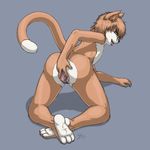  blue_eyes brown_fur butt cat clitoris cuntboy edit feline fur hindpaw intersex looking_at_viewer mammal nude paws presenting pussy pussy_juice solo spread_pussy spreading tongue wet yellowpower 