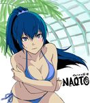  alternate_hair_length alternate_hairstyle bent_over bikini blue_eyes blue_hair blush breasts cleavage long_hair medium_breasts parody persona persona_4 persona_x_detective ponytail raven252 shirogane_naoto solo swimsuit 