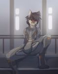 2017 absurd_res anthro blush brown_fur brown_hair bulge canine clothed clothing digital_media_(artwork) dog eyebrows_visible_through_hair fully_clothed fur grey_eyes hair hi_res jumpsuit looking_at_self looking_down male mammal multicolored_fur notglacier sitting solo teeth two_tone_fur white_fur 