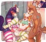2024 2_panel_comic 5_fingers absurd_res akeshitanaki anal anal_penetration animal_genitalia animal_penis anthro arm_warmers armwear australian_shepherd balls blue_eyes blush blush_lines bodily_fluids boxers_(clothing) brown_body brown_eyes brown_fur brown_nose butt canid canine canine_genitalia canine_penis canis chest_tuft claws clothing clothing_in_mouth countershading coyote domestic_dog erection erection_under_clothing fangs femboy fingers floppy_ears fur fur_markings genital_fluids genitals green_eyes group group_sex hair hand_on_penis handjob herding_dog hexagon hi_res holding_leg inside kanon_(applejacksville) kepler_(kepwoof) knot knotted_penis leaking_precum legwear locker locker_room looking_at_another lying male male/male male_penetrated male_penetrating male_penetrating_male mammal markings multicolored_body multicolored_fur narrowed_eyes on_back one_eye_closed orange_body orange_fur pastoral_dog pattern_arm_warmers pattern_armwear pattern_clothing pattern_legwear pattern_thigh_highs penetration penile penis pink_nose pink_penis precum purple_body purple_fur red_penis sex sheepdog smile sparkles standing striped_arm_warmers striped_armwear striped_clothing striped_legwear striped_thigh_highs stripes sweat tail teeth thigh_highs threesome toeless_thigh_highs tongue tongue_out towel trio tuft tukamos_(character) underwear white_body white_fur white_hair