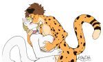 big_breasts big_butt blonde_hair breasts butt cheetah collar curvy_figure ear_piercing felid feline female fur grope groping_chest hair hi_res kiko_kempt kissing kittydee mammal nipple_piercing nipples piercing slightly_chubby slightly_chubby_female tail tongue tongue_piercing white_body white_fur zachariah_(velocitycat)