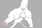 anthro anus ass_up balls black_eyes butt digital_drawing_(artwork) digital_media_(artwork) feral genitals legs_up looking_at_viewer male mammal nude pawpads paws penis presenting presenting_anus presenting_hindquarters rain_world raised_leg shaded simple_background slugcat solo solo_focus survivor_(rain_world) tail tluckyl videocult
