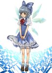  bad_id bad_pixiv_id bloomers blue_eyes blue_hair bobby_socks cirno dress hands_clasped mary_janes own_hands_together petticoat poruhi shoes short_hair shy socks solo touhou underwear v_arms wings 