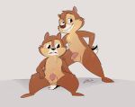 anthro balls brother_(lore) brothers_(lore) brown_body brown_fur chip_&#039;n_dale_rescue_rangers chip_(disney) chipmunk dale_(disney) digital_media_(artwork) disney duo feet fingers flaccid foreskin fur genitals ground_squirrel half-erect hi_res humanoid_genitalia humanoid_penis incest_(lore) looking_at_genitalia looking_at_penis looking_at_viewer male male/male mammal navel nude penis rodent sciurid sibling_(lore) simple_background sitting smile soina spread_legs spreading standing tail tight_foreskin toes