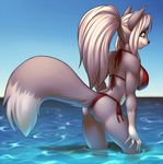  big_breasts bikini black_nose breasts canine clothed clothing female fluffy_tail fox green_eyes grey grey_body hair lockworkorange long_hair looking_at_viewer looking_back mammal ocean ponytail projectblue02 sea side_boob skimpy smile solo standing swimsuit thighs water white white_hair 