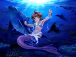  1girl brown_hair card_captor_sakura child dolphin flat_chest green_eyes highres jewelry kinomoto_sakura mermaid monster_girl mutsuki_(moonknives) necklace short_hair solo underwater water 