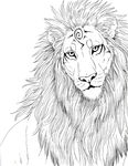  feral hibbary lion male mammal monochrome sketch solo 
