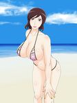  1girl beach bikini breasts female hamasei heartcatch_precure! highres kamomes large_breasts looking_at_viewer milf ocean precure solo swimsuit tetsukui tsukikage_haruna 