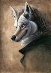  canine coat grin hibbary male mammal piercing solo wolf yellow_eyes 