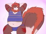  armpits belly body_hair bulge canine fluff fur happy_trail indigofactory male mammal overweight rhyzern solo tuft underwear wet 