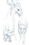  dragon hibbary horn male monochrome open_mouth sketch 