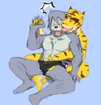  &#26151;&#21566; anthro biceps blue_eyes blush body_markings budge bulge canine chest_tuft clothed clothing crotch_grab dog duo erection fangs feline fondling fur gay grey_background grey_fur grope half-dressed hand_holding hand_in_underwear husky kouya kouya_aotsuki licking male mammal markings morenatsu muscles open_mouth pecs penis plain_background sitting tiger tongue tongue_out topless torahiko torahiko_ooshima tuft underwear vpl yellow_eyes yellow_fur 