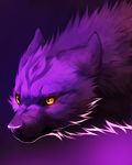  ambiguous_gender canine compression_artifacts falvie fur looking_away mammal purple_background purple_fur purple_nose purple_theme solo wolf yellow_eyes 