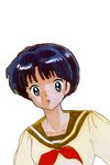  1girl blue_hair brown_eyes highres ranma_1/2 short_hair takahashi_rumiko tendou_akane 