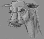  ambiguous_gender bovine bull cattle feral gdane greyscale looking_at_viewer mammal monochrome 