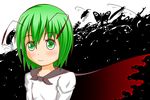  antennae bad_id bad_pixiv_id bee beetle blush_stickers bug butterfly cape centipede dragonfly firefly green_eyes green_hair insect light_smile long_sleeves looking_at_viewer minaka praying_mantis rhinoceros_beetle short_hair solo touhou transparent_background wriggle_nightbug 
