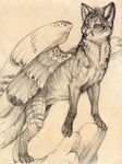  fox hibbary mammal monochrome plain_background rock solo wings 