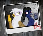  alidor42 autograph avian beak black_hair blue_feathers brown_feathers duo female friendship_is_magic gilda_(mlp) grey_feathers gryphon hair my_little_pony open_mouth original_character red_eyes sinis white_feathers wings yellow_eyes 