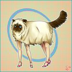  ambiguous_gender blue_eyes brown_fur cat chemicalalia eyefuck feline feral fur high_heels human humor hybrid looking_away mammal solo standing what 