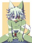  ?? balls blush cub drooling hane heterochromia kiwi_(character) looking_at_viewer male open_mouth penis plain_background saliva sitting teeth tongue tooth young 