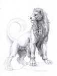  feral hibbary lion male mammal monochrome rock sketch solo standing 