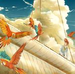  1boy bird blue_sky cloud clouds male male_focus male_only one_piece outdoors parrot pirate sail scar ship sky solo thatch 