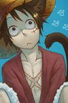  1boy animal_ears blue_background brown_hair cat_ears cat_tail inukoro_(spa) male male_focus male_only monkey_d_luffy one_piece open_clothes open_shirt paw_print pixiv_thumbnail red_shirt resized scar shirt simple_background sitting solo tail 