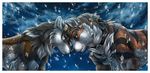  avoid_posting canine collar couple dog embrace feline feral kaji kaji_(character) male mammal snow tiger wielder 