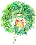  ascot buttons clover fern flower green_hair kazami_yuuka leaf looking_at_viewer parted_lips petals plaid plaid_vest puffy_sleeves red_eyes short_hair short_sleeves simple_background solo touhou tugumi0w0 vest white_background wreath 