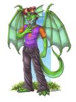  anthro brown_hair caltstar clothing collar dragon green green_body hair male open_mouth shirt solo standing wielder wings 