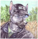  blue_eyes canine dog hat male mammal nature ncis solo wielder 