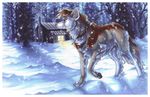  collar dog female house mammal night snow snowing solo wielder winter 