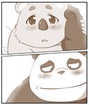  bear chubby cub garousuki_(artist) koala male mammal marsupial overweight panda young 