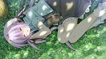  1/2_summer alcot animal cat game_cg grass kuonji_sora purple_hair sesena_yau sleeping twintails 