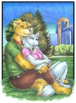  anthro blush canine collar couple dog duo embrace female grass male mammal outside sitting smile wielder wolf 