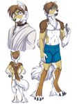  anthro canine collar dog janus_kenobi male mammal model_sheet nude pigtails plain_background pose robe solo star_wars underwear white_background wielder 