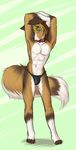  canine collar dog looking_at_viewer male mammal pinup pose solo speedo swimsuit tehstupidbug underwear 