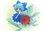  blue_hair bow cirno crystal fang flower hisashi_shin ice red_flower red_rose ribbon rose short_hair solo touhou wings 