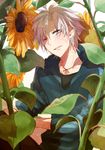 bad_id bad_pixiv_id fate/zero fate_(series) flower heaven8 male_focus matou_kariya one_eye_closed solo sunflower white_hair 