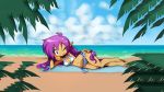  bikini purple_hair shantae:_half_genie_hero shantae_(character) swimsuit 