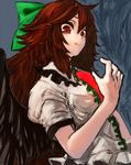  bow brown_hair gobou_(gbu) hair_bow long_hair red_eyes reiuji_utsuho solo touhou upper_body wings 