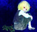  blonde_hair blue mago_(gengennikoniko) mary_janes plant red_eyes rumia shoes short_hair sitting solo touhou 