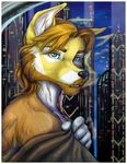  anthro blue_eyes canine dog firework fireworks male mammal open_mouth portrait robe solo wielder window 