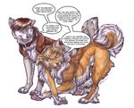  canine collar couple dog english_text feral humor male mammal obi-wan_kenobi plain_background text white_background wielder 
