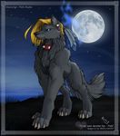  blue_eyes canine collar female feral fleki fleki_(character) mammal night outside solo wolf wolfy-nail 