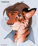  eyewear feline glasses male mammal plain_background portrait skirt smile solo tiger tigrenok white_background wolfy-nail 